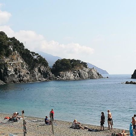 蒙特罗索阿尔马雷Casa Del Carugio公寓 外观 照片